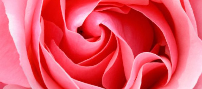 🌿 Balans Basis – Rust in je hoofd